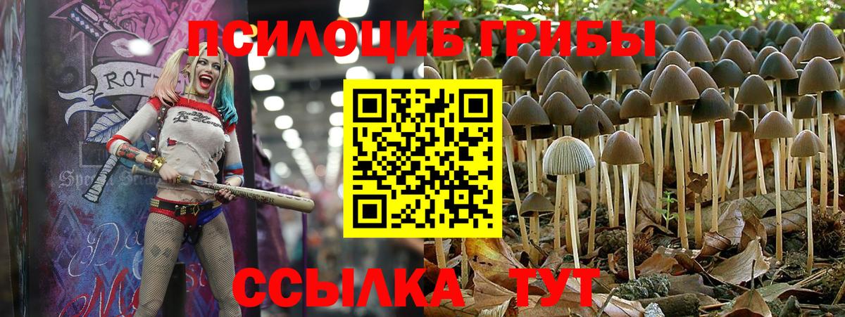 Псилоцибиновые грибы ЛСД Новомосковск
